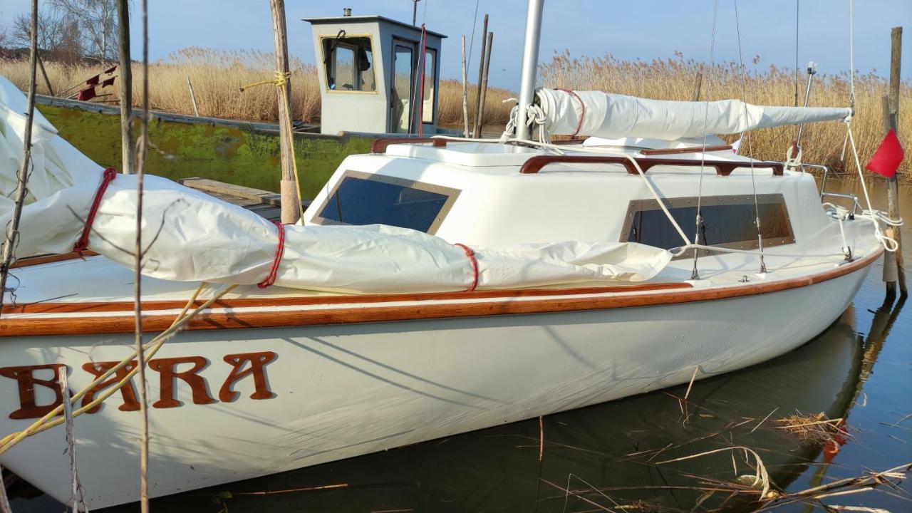 Domki Pod Zlotym Debem Kąty Rybackie Kültér fotó